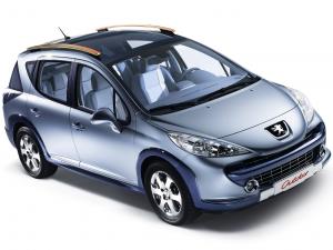 Peugeot 207 SW OutDoor Concept 2007 года